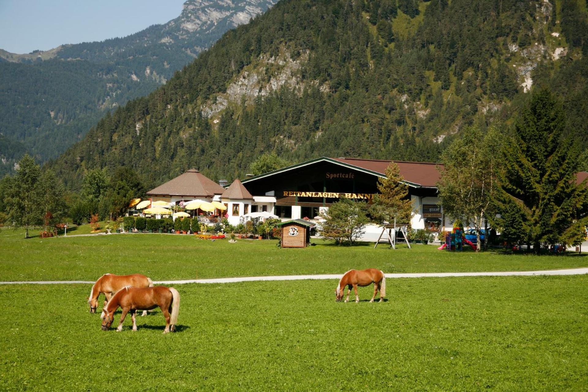 Gut Hanneshof แอร์พเฟนดอร์ฟ ภายนอก รูปภาพ