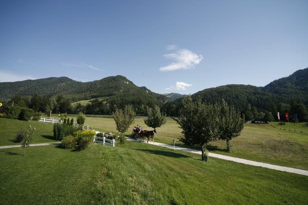 Gut Hanneshof แอร์พเฟนดอร์ฟ ภายนอก รูปภาพ